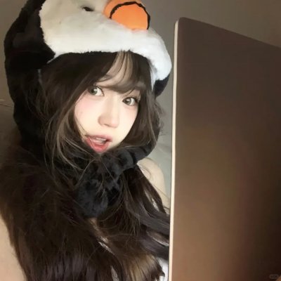 藏獒情未了